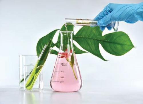 Faculty from the School of Pharmacy and Health Sciences receive NRF grant to advance their research
